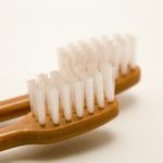 世界初！環境にも人にも優しい 植物由来100％の毛材を使用した歯ブラシ！