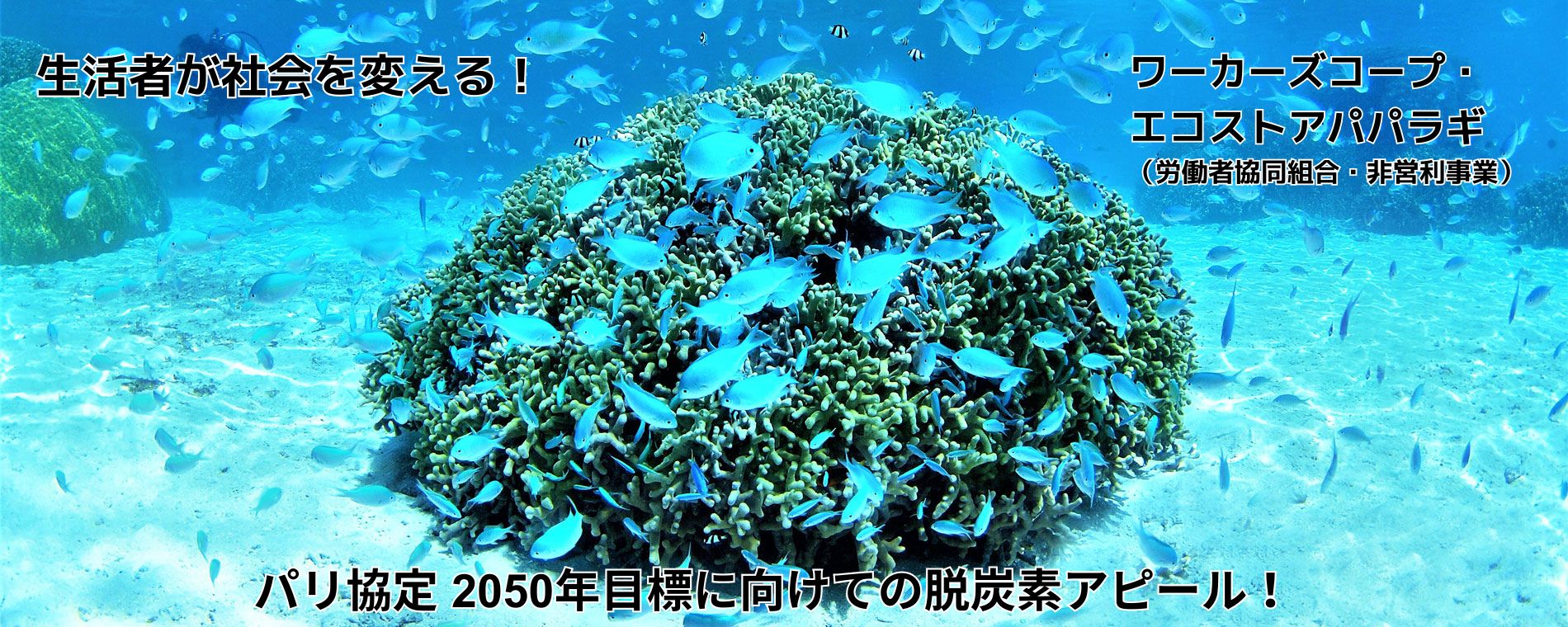 エコストアパパラギ